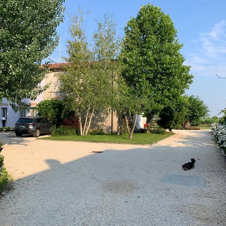 B&B Nonna Teresa Roverbella Dış mekan fotoğraf